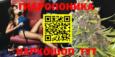 мдпв Донецк