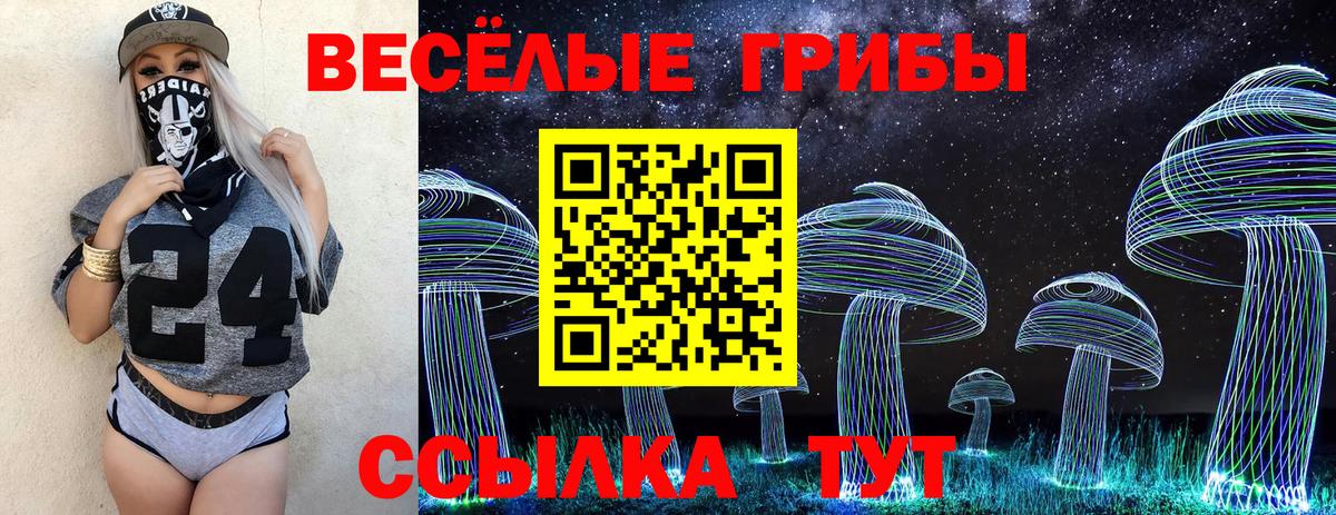 Псилоцибиновые грибы мицелий  Вход с VPN  Мценск 