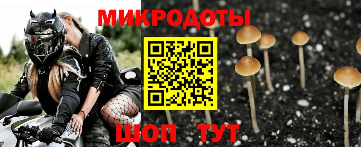 Галлюциногенные грибы GOLDEN TEACHER Мценск